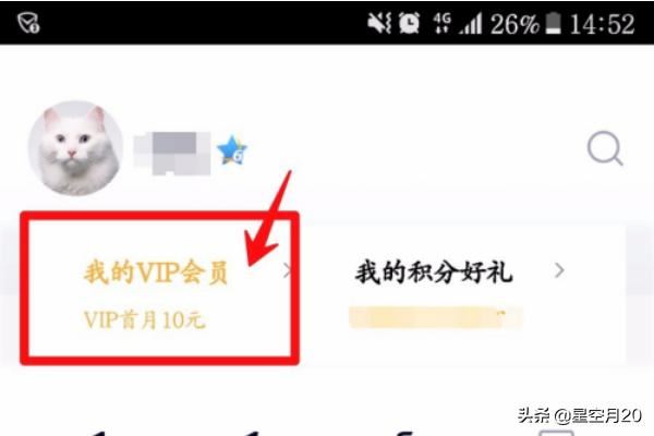 騰訊視頻VIP會(huì)員如何查看排行榜？